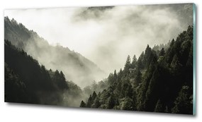 Üvegkép nyomtatás Köd az erdőben osh-98626353