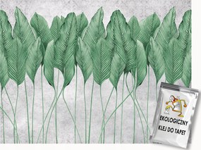 Fotótapéta Flizelina Fal Beton Utánzat Levelek Növényzet 400x280 ragasztó