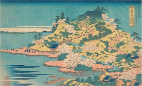 Fotótapéta Falra az előszoba konyhájába Japán táj 416x254 Ragasztó