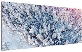 Havas fák képe (120x50 cm)