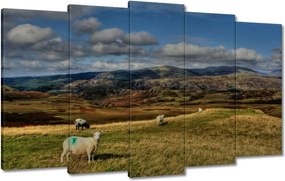 Vászonkép 100x60 Bárányok a legelőn