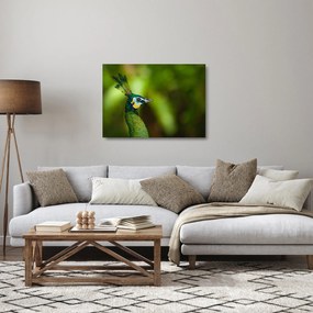 Páva képe (üvegen) (70x50 cm)