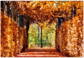 Poszterek 200x135 Tájkép Látvány