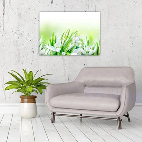 Kép - Hóvirág (üvegen) (70x50 cm)