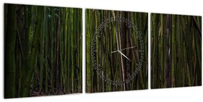 Kép - A bambuszok között (órával) (90x30 cm)
