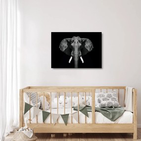 Üveg kép - Elefánt fekete háttérrel (70x50 cm)