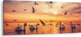 Kép - Hattyúk (120x50 cm)