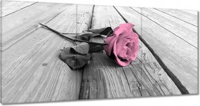 Vászonkép 60x30 Púderrózsa a deszkákon