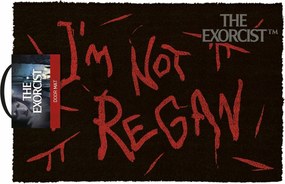 Lábtörlő Ablaktörlő Ajtó Alá Külső Kókusz 60x40 cm