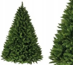 Karácsonyfa Kaukázusi Lucfenyő 240cm Premium