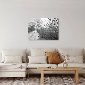 Üveg kép - Mezők télen (70x50 cm)