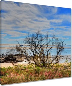 Vászonkép 60x60 Kilátás a tengerpartról