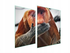 Üveg Tűzhelyvédő Főzőlap 70x52 Hordozó Edzett Üveg