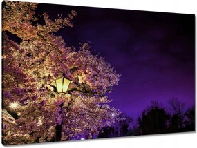 Vászonkép 90x60 Éjszakai motívum a nappaliba