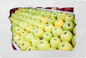 Poszterek 120x80 Piros alma