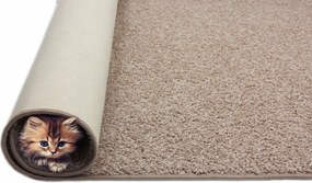 Szőnyeg 2 CM Tampa Szőrös Shaggy Bézs 200x200cm