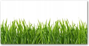 Fotó kép fotó edzett üveg Fű 140x70