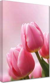 Vászonkép 20x30 Rózsaszín tulipánok
