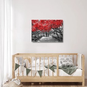 Kép - vörös fák,Central Park, New York (üvegen) (70x50 cm)