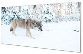Üvegképek Wolf téli erdőben 120x60cm