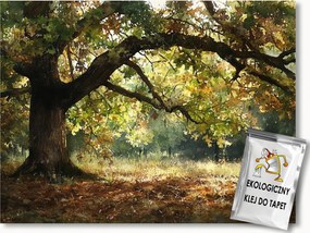 Fotótapéta Flizelina Akvarell Természet Park Tölgy Ősz 250x175 ragasztó