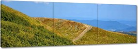 Vászonkép 60x20 Bieszczady