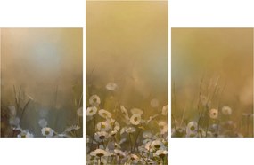 Kép - százszorszép olajfestmény (90x60 cm)