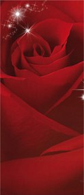 Fotótapéta flizelina Vörös rózsák elegancia és ragyogás a falakon 91x211 +ragasztó