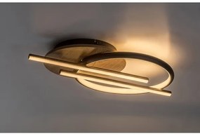 Rabalux 71404 - LED Mennyezeti lámpa ARASH LED/40W/230V 3000/4000/6500K