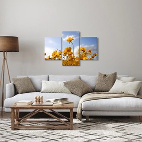 Fényes sárga virágokkal rendelkező mező képe (90x60 cm)