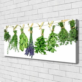 Vászonfotó Szirmok virágok Gyógynövények 120x60 cm