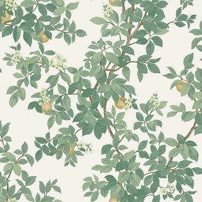 Holden Decor Imaginarium 3 Orange Tree krém-zöld gyümölcsös papír tapéta – 14240