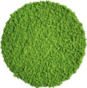 Vászonkép Moha fali panel moha kerek moha zöld 20cm