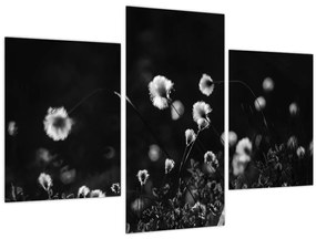 Kép - Gyapotfűvel borított rét N⁰1 (90x60 cm)