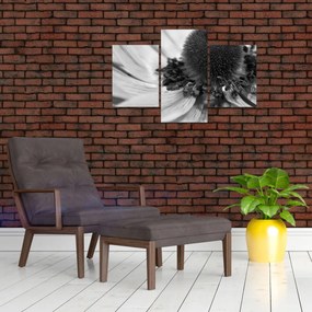Kép - Virág fekete-fehérben (90x60 cm)