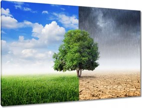 Festmények 120x80 Esős évszak