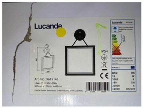 Lucande Lucande - LED Kültéri fali lámpa érzékelővel MIRCO LED/13W/230V IP54 LW0358