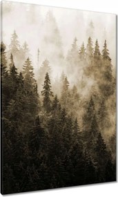 Vászonkép 70x100 Tájkép Szépia Hegyek Köd