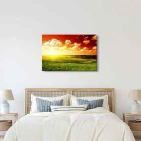 Rét képe ragyogó napfénnyel (90x60 cm)