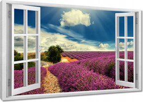 Vászonkép 60x40 Levendulamező