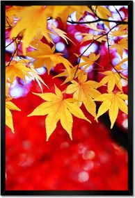 Poszter keretben 40x60 Sárga őszi levél