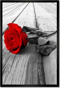 Poszterek keretben 40x60 Vörös rózsa a fán