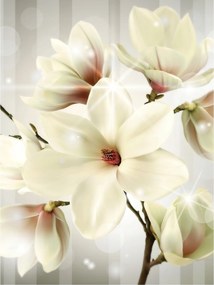 Flizelin fotótapéta Magnolia Bokeh Virágok Elegancia 184x254 +ragasztó