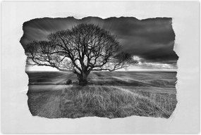 Poszterek 90x60 Gyönyörű naplemente