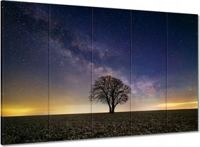 Vászonkép 100x70 Magányos fa és csillagok