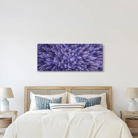Havas fák képe (120x50 cm)