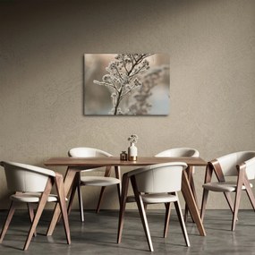 Kép - Növény fagyban (70x50 cm)