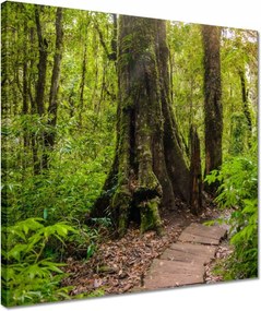 Vászonkép 40x40 Gyalogtúra