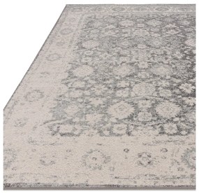 Világosszürke szőnyeg 160x230 cm Muse Heritage Grey Silver – Asiatic Carpets