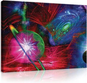 Vászonkép falikép piros zöld kozmosz 100 x 75